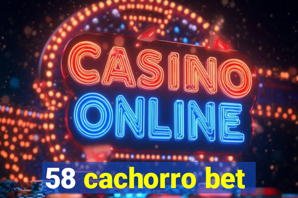 58 cachorro bet