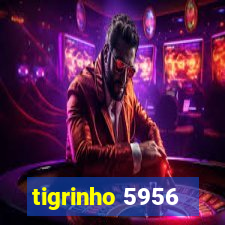 tigrinho 5956