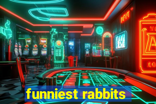 funniest rabbits