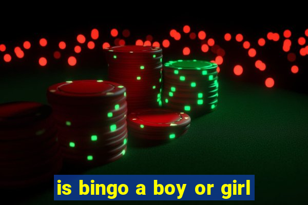 is bingo a boy or girl