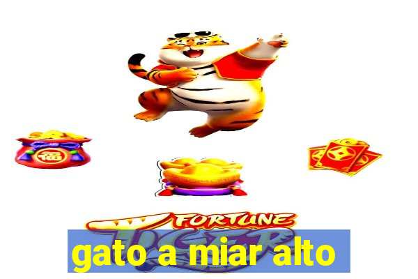 gato a miar alto