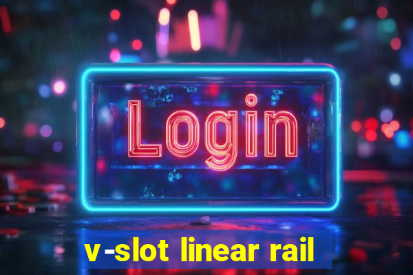 v-slot linear rail