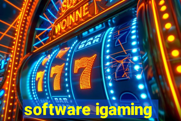 software igaming