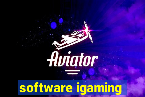 software igaming