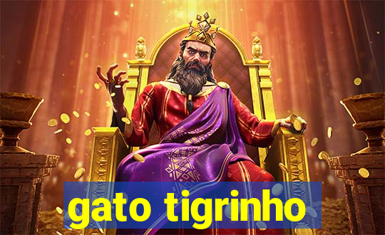 gato tigrinho