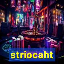 striocaht