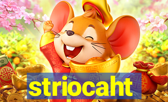 striocaht