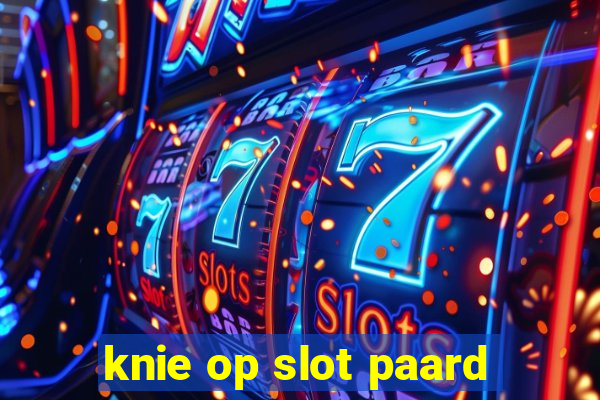 knie op slot paard