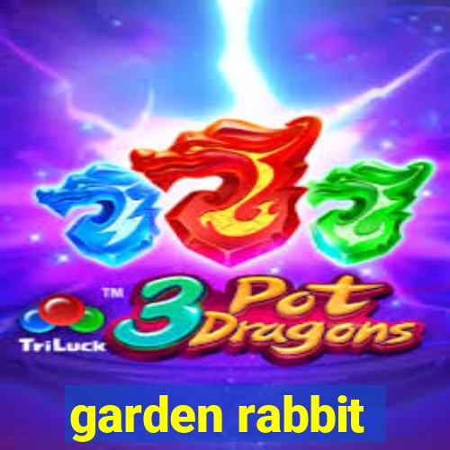 garden rabbit