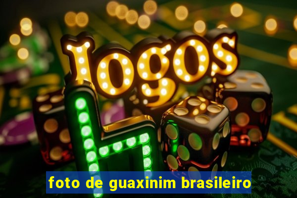 foto de guaxinim brasileiro