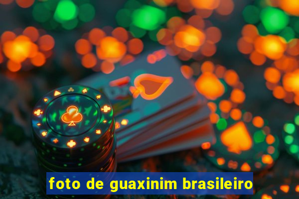 foto de guaxinim brasileiro