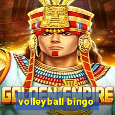 volleyball bingo