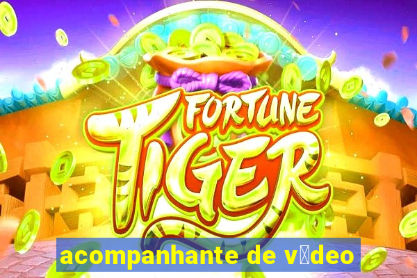 acompanhante de v铆deo