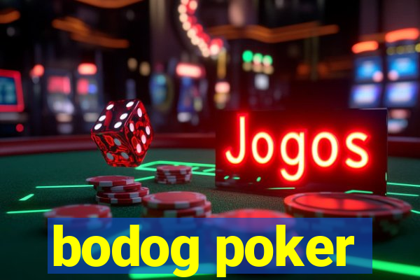 bodog poker