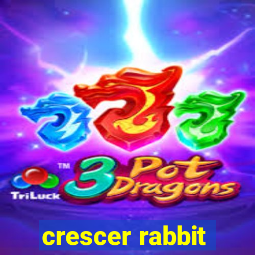 crescer rabbit