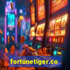 fortunetiger.com