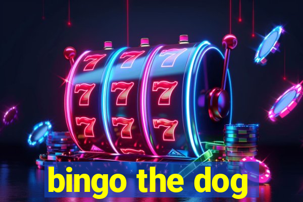 bingo the dog