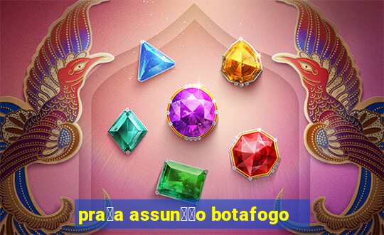 pra莽a assun莽茫o botafogo