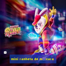 mini ranheta de m璋﹕cara