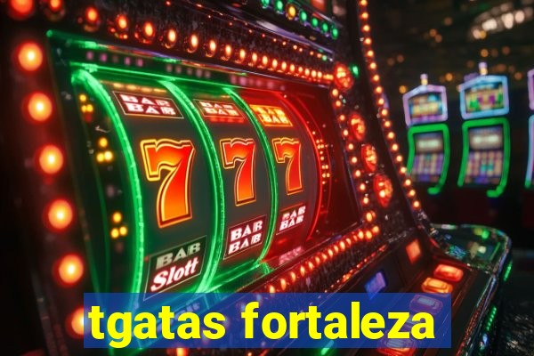 tgatas fortaleza