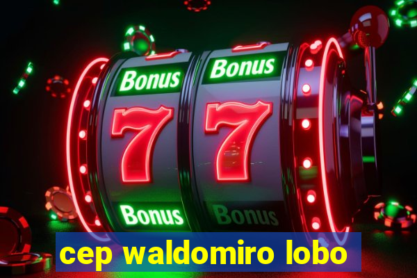 cep waldomiro lobo