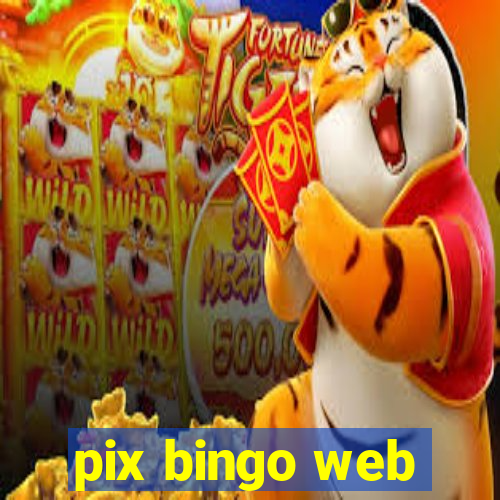 pix bingo web