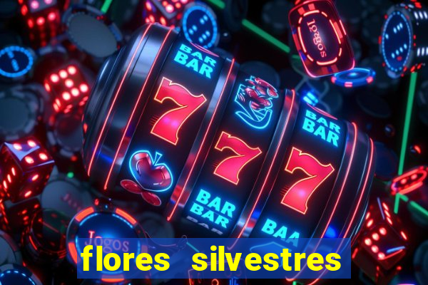 flores silvestres desbravadores desbravadores 25