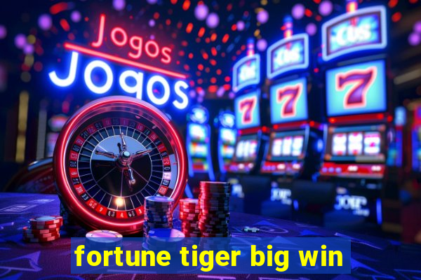 fortune tiger big win