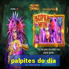 palpites do dia