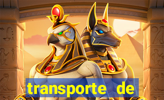 transporte de passageiros são jerônimo