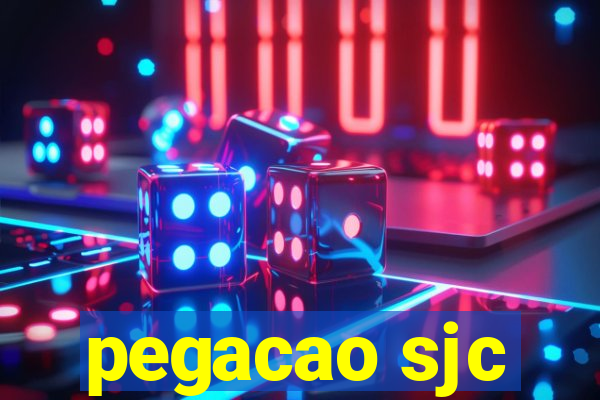 pegacao sjc