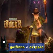 golfinho é ovíparo