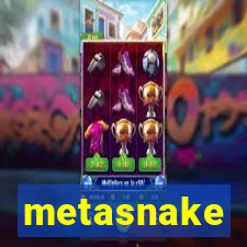 metasnake