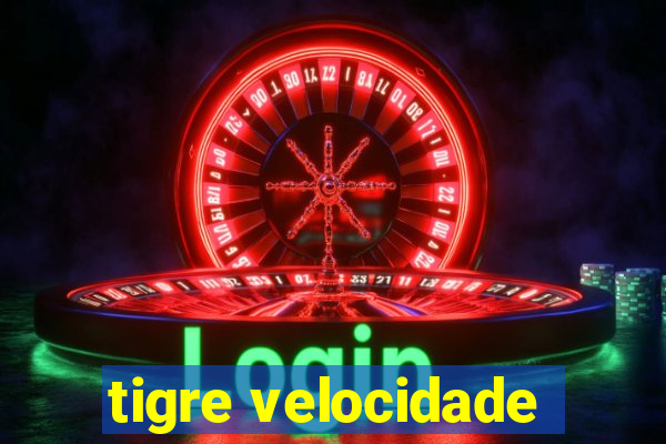 tigre velocidade