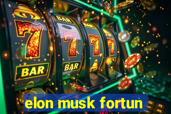 elon musk fortun