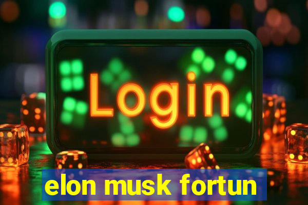 elon musk fortun