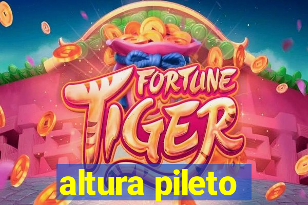 altura pileto