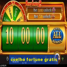 coelho fortune gratis