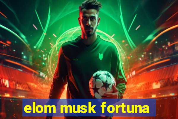 elom musk fortuna