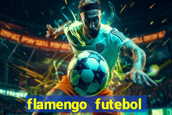 flamengo futebol play hd