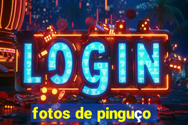 fotos de pinguço