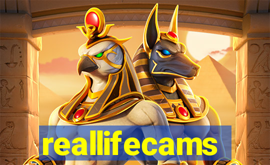 reallifecams