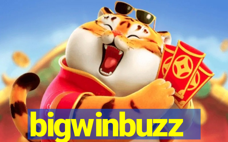 bigwinbuzz