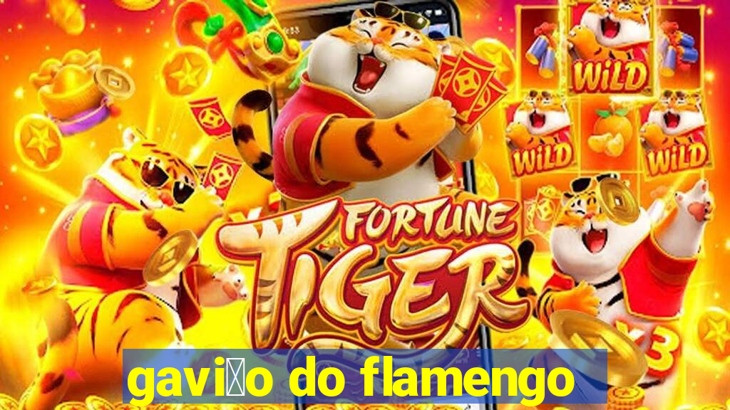 gavi茫o do flamengo