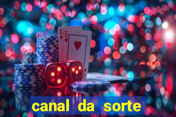 canal da sorte bingo de hoje