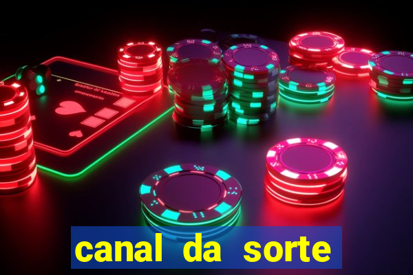 canal da sorte bingo de hoje