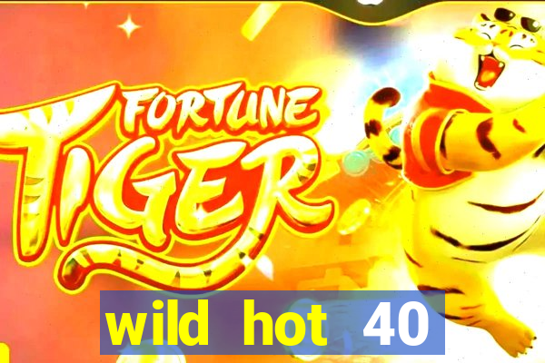 wild hot 40 christmas slot