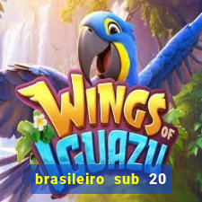 brasileiro sub 20 ao vivo