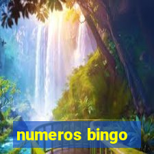 numeros bingo