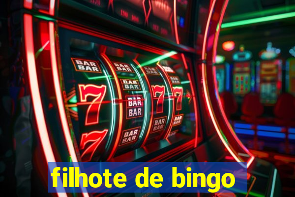 filhote de bingo